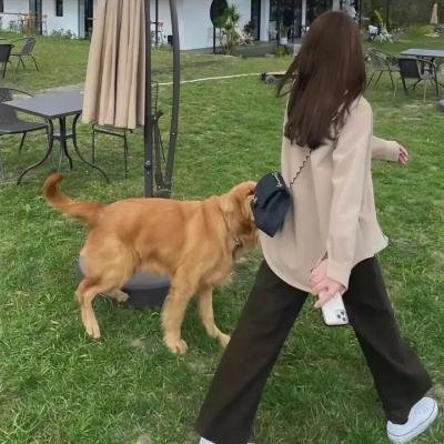 单身狗奇遇记